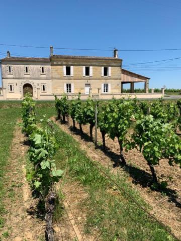 Willa Gite Du Chateau La Rose Des Vents Puisseguin Zewnętrze zdjęcie